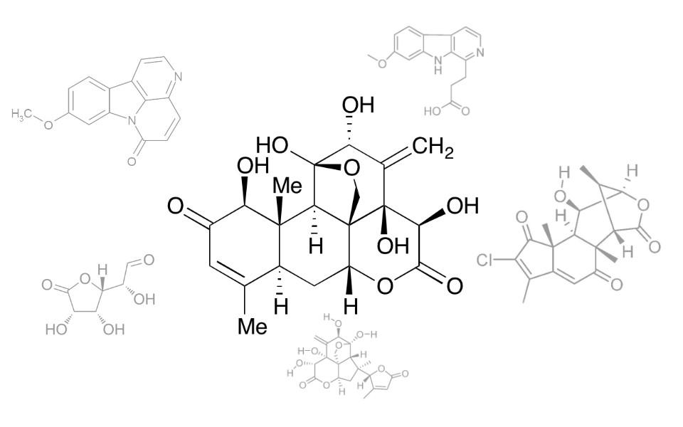 Eurycomanone